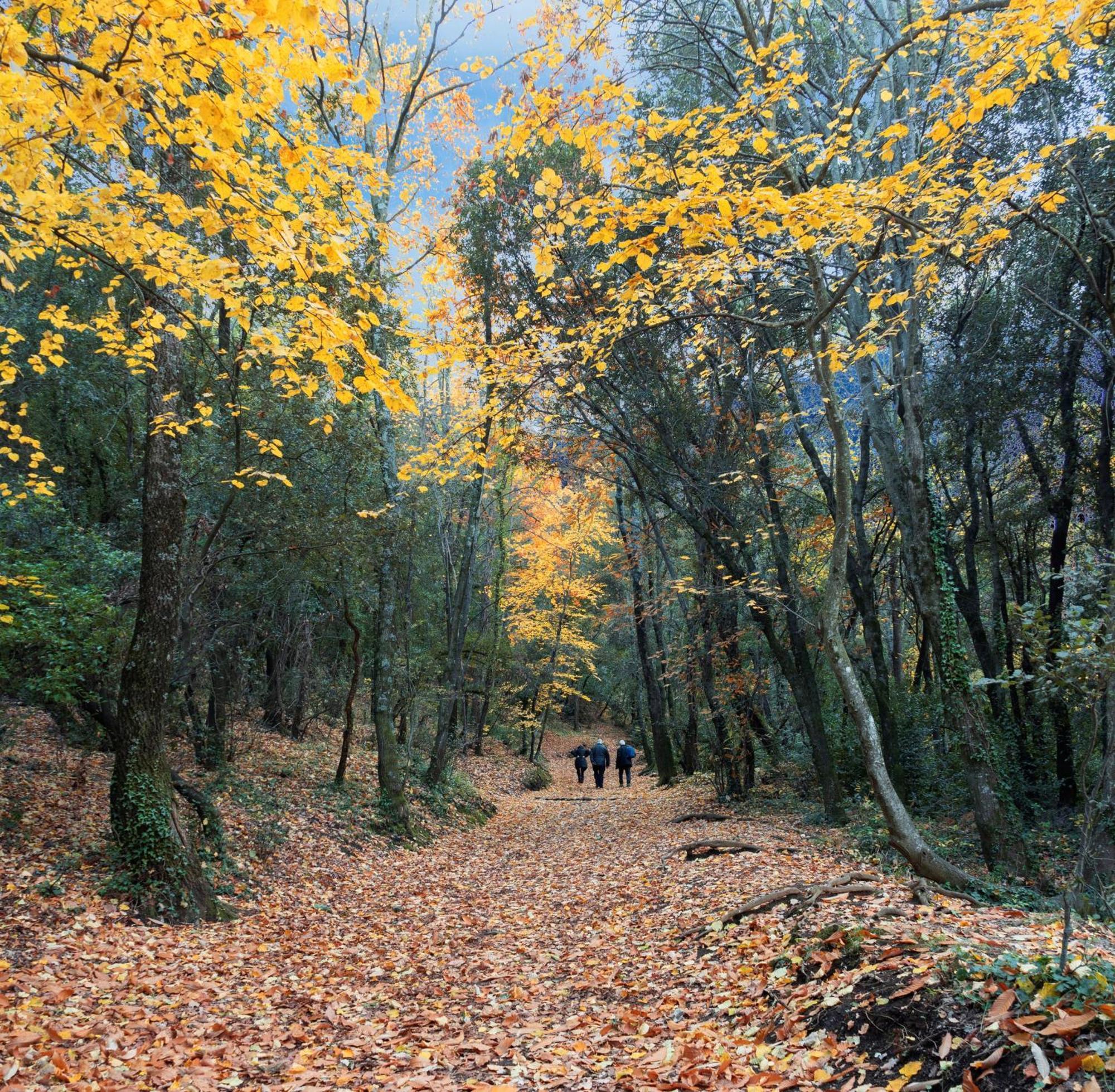 Mas Can Calet Aparthotel Les Franqueses del Vallès 외부 사진